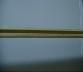 鳪 (÷θ, Flooring)/3fish 鳪(볢) 