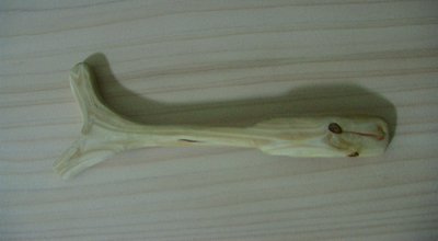 鳪 ġ߱()